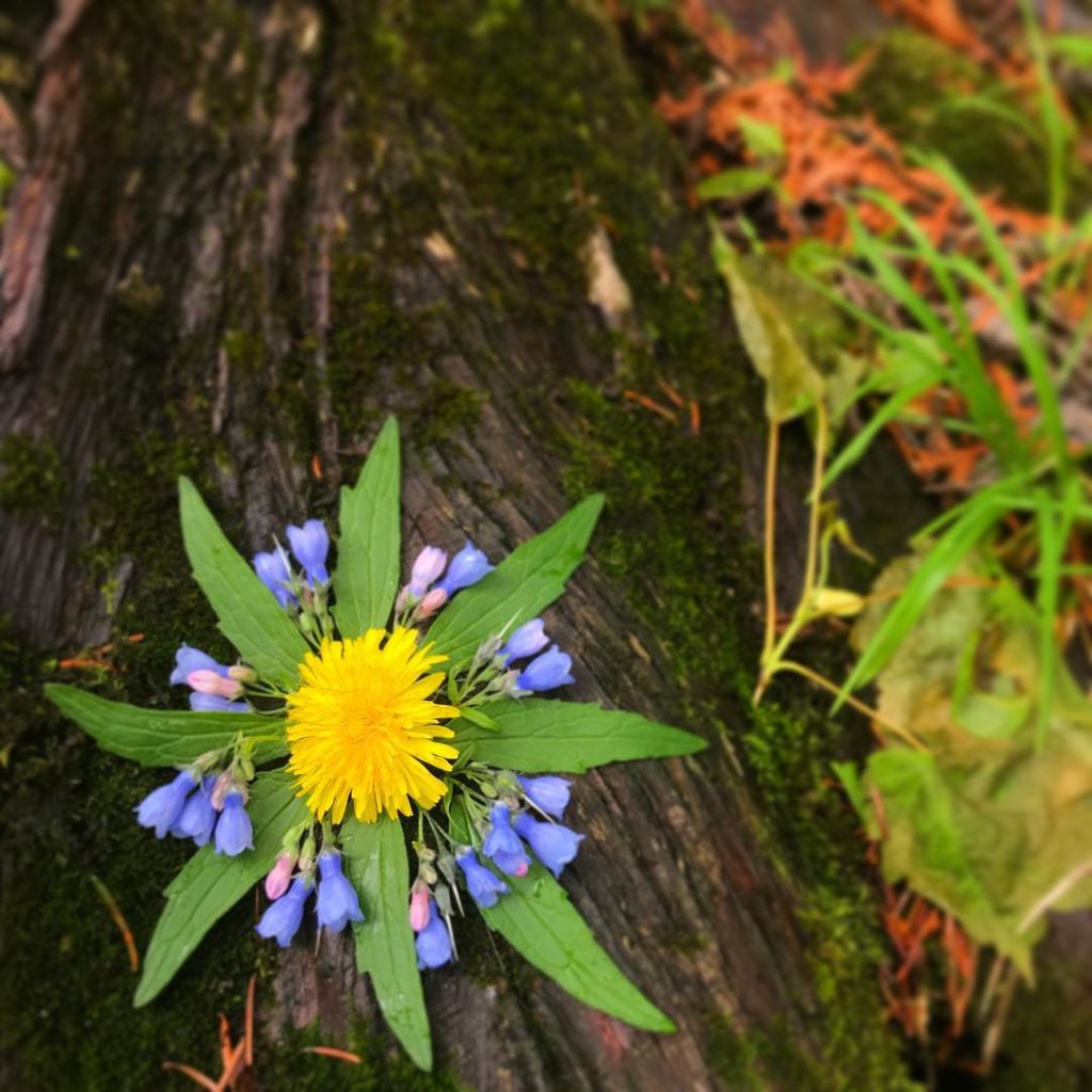 How to Take Make A Visual Prayer To Leverage the Power of a New Moon ...