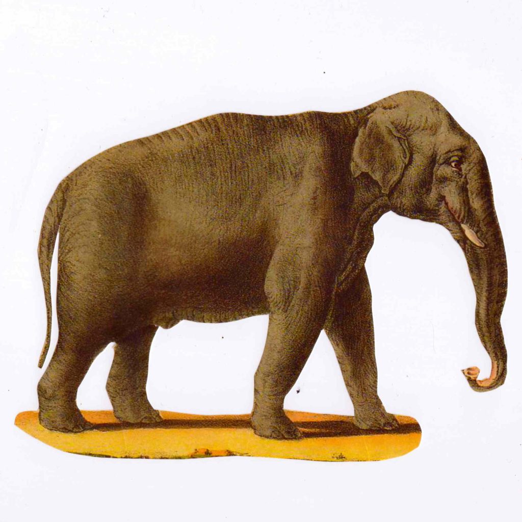 Alice elephant image