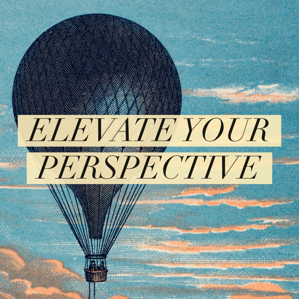 day 49 elevate your perspective