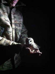 If you are interested in having a wonderful owl encounter like this- and live near Duluth or are willing to travel…… you can do so by making a significant donation (I believe around 250.00) to Hawk Ridge. 